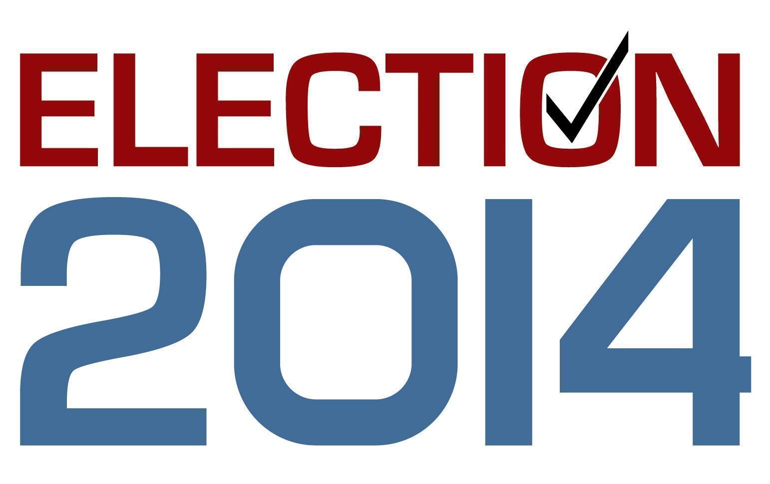 election 2014.jpg